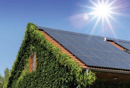 Długowieczny spokój