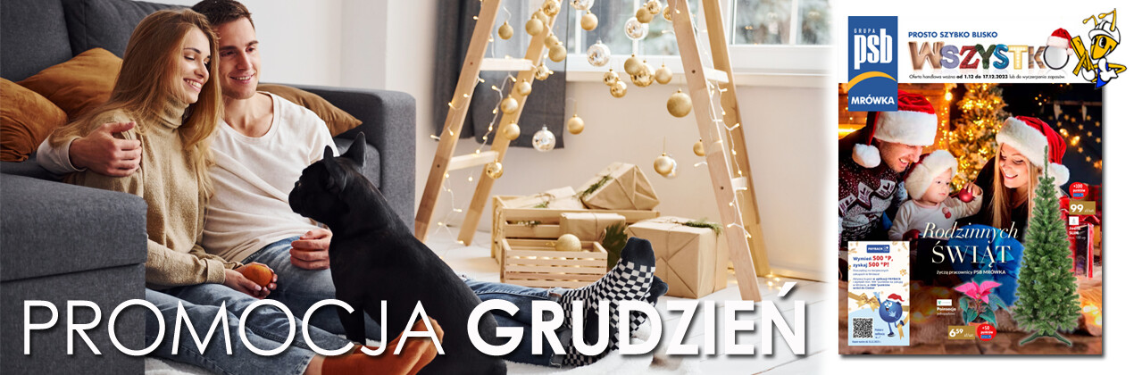 zdjęcie na stronie głównej